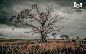Can Deceased Ancestors Interfere with my Practicing Magic? The influence of deceased ancestors on practicing magic. Clergymen are people connected on the channel of Christianity. The mechanism of exit from Christianity. Dbaptism.