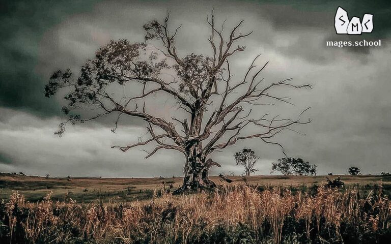 Can Deceased Ancestors Interfere with my Practicing Magic? The influence of deceased ancestors on practicing magic. Clergymen are people connected on the channel of Christianity. The mechanism of exit from Christianity. Dbaptism.