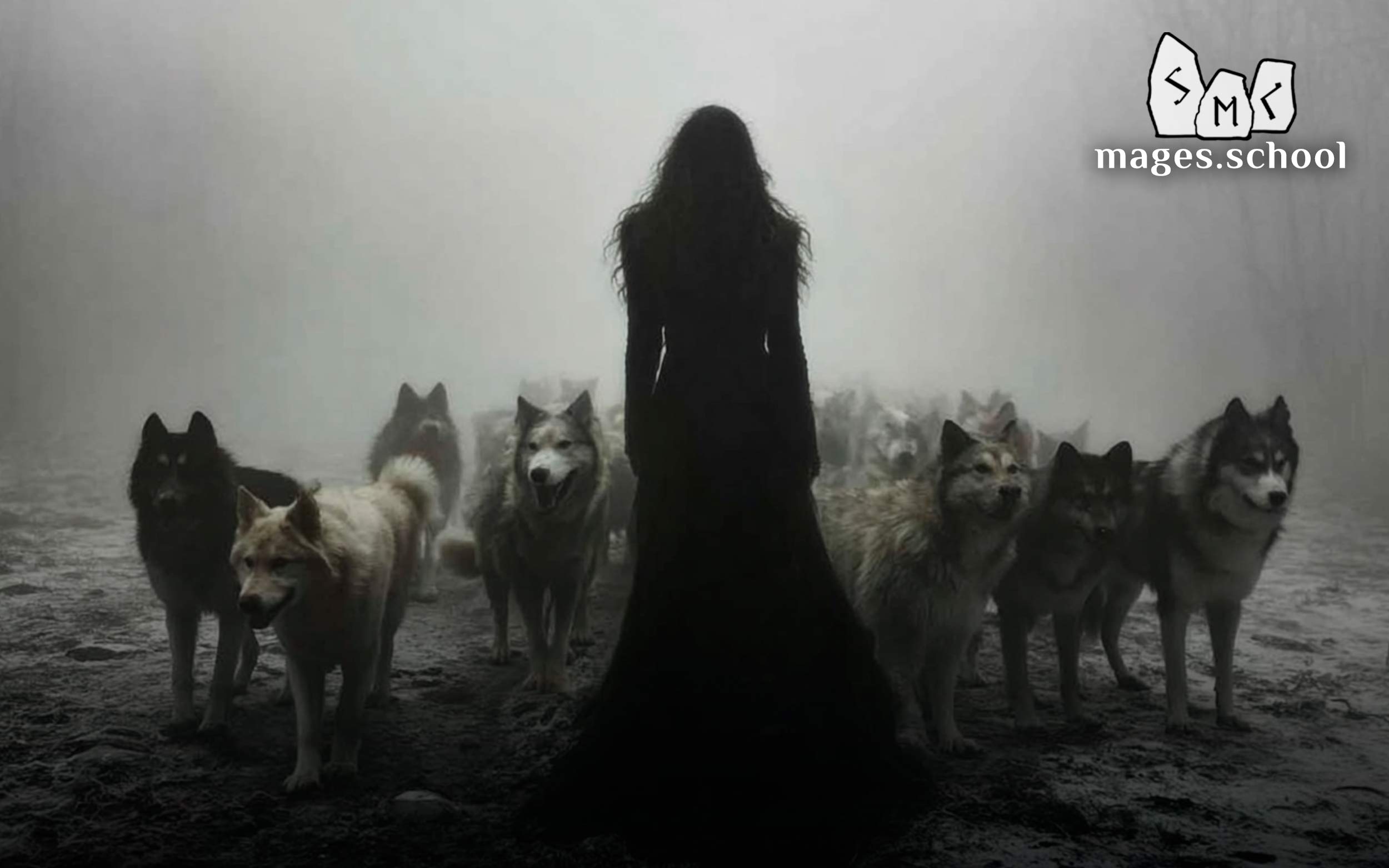 Black Dogs In Dreams. Hecate's Messengers. Black dogs in dreams are Hecate's messengers, guards, watchdogs between worlds. What does a balck dog in a dream means? Contact with Hecate