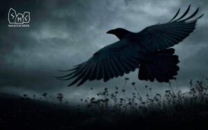 Runes: What Are They? Runes are magical signs and instruments for changing the world. Some people are prohibited from working within pagan tradition