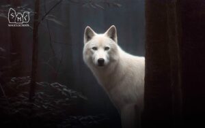 The Power of the Totem. What is a totem? Totemic symbols and signs. Totemic power and mind for survival. Guardian spirit. Strength for survival.