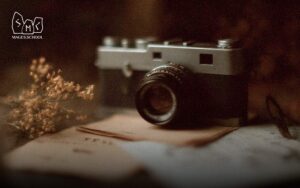 Photos on social media: the problem of public exposure. A person who publicly displays revealing photos loses their rights, existential volume.