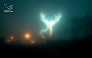 Unusual Human-Like Entities in Visions